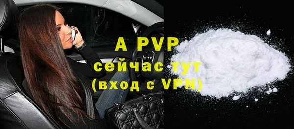индика Рославль