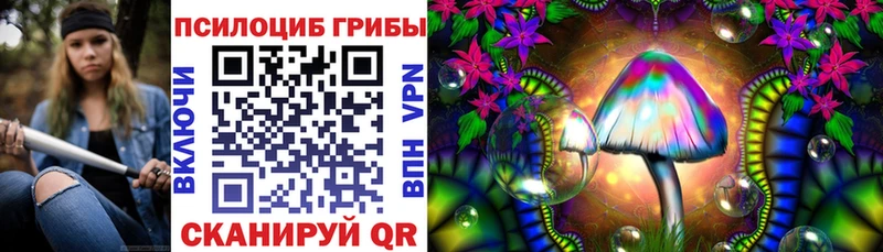 дарк нет наркотические препараты Пудож Псилоцибиновые грибы Psilocybine cubensis